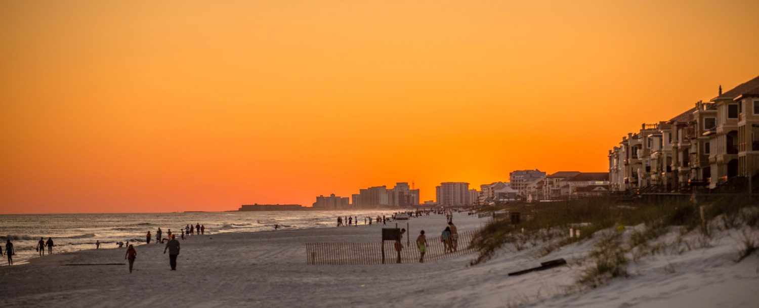 Destin Beach Dog Cleanup