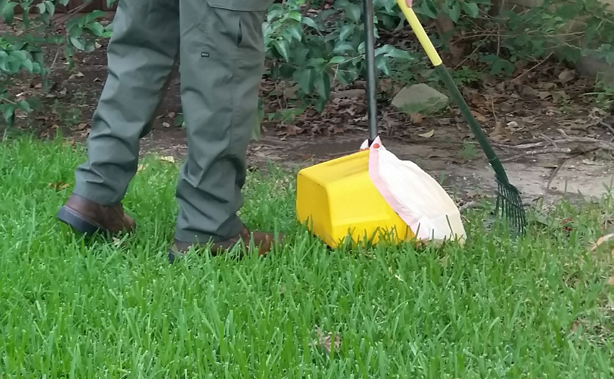 We scoop dog poop - Destin FL